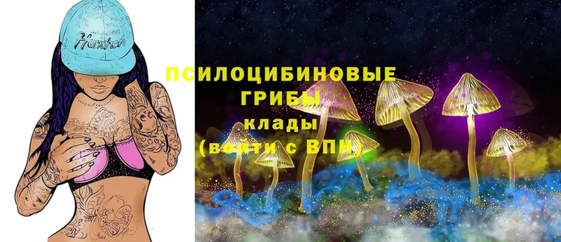 Галлюциногенные грибы Psilocybe  Алатырь 